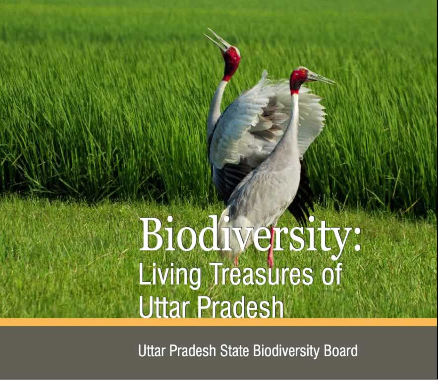 Biodiversity (Living Treasures of Uttar Pradsh)